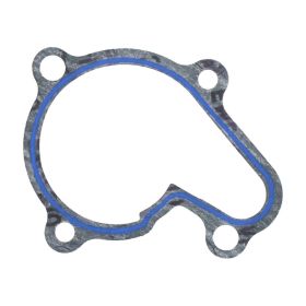 Guarnizione pompa acqua originale JMP DAE-19223-SAB-0000 per Daelim