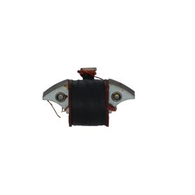 Spule bei SGR Vespa Ape 54 Piaggio 016423