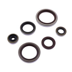 ATHENA P400060400014 Engine Seal Kit for Beta RR