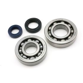 Naraku engine shaft bearings and oil seal for Kymco