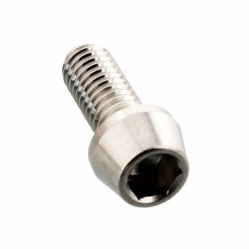 PRO-BOLT Stainless Steel Conical Screw M6x1 15mm