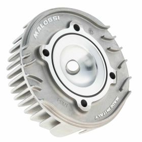 Zylinderkopf MALOSSI 3818100