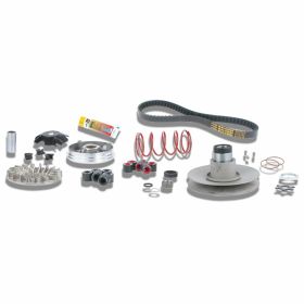 Variomatik MALOSSI 6112811