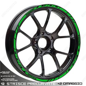 IRIDEA DESIGN 1413GR00009 Motorcycle rim stickers