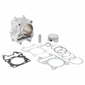 Haut moteur cylindre MALOSSI 3117096