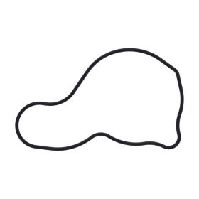 Original water pump gasket JMP 19226-HN8-000 for Honda