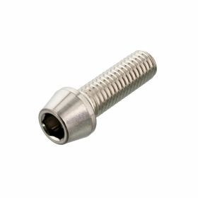 PRO-BOLT conical screw stainless steel M8x1.25 25mm