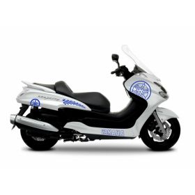 SET 12 ADESIVI BLU CARENA STICKERS 50 X 50