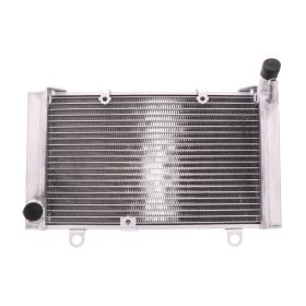 JMP Water Radiator 2019040110 for Honda CBF