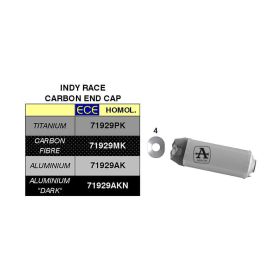 ARROW Indy Race Slip-On Auspuff mit Aluminium-Endkappe und Sammler für Aprilia RS 660