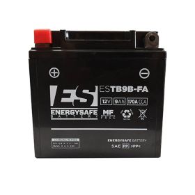 Batterie scellée EnergySafe ESTB9B FA 12V/9AH