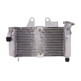 JMP 2019040115 Water Radiator for Honda XL 125