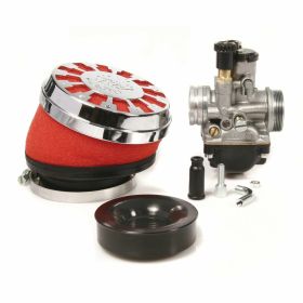 Carburateur 19 MALOSSI 1611021.T