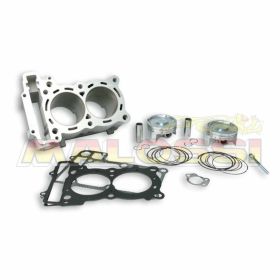 Haut moteur cylindre MALOSSI 3115423
