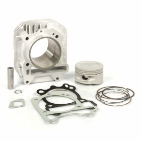 Zylinderkit MALOSSI 3114621