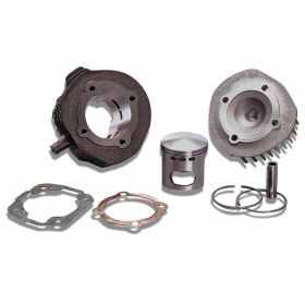Zylinderkit MALOSSI 31 8691