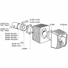 POLINI racing thermal group D.43 stroke 43 pin 12 cast iron cylinder