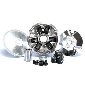 POLINI Variator VESPINO ALX/DELTA