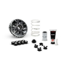 Variatore MALOSSI Multivar 2000 per ZONTES