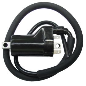 Ignition coil DZE 4065
