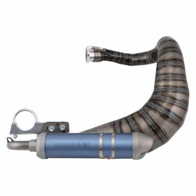 Pot echappement moto MALOSSI 3216857