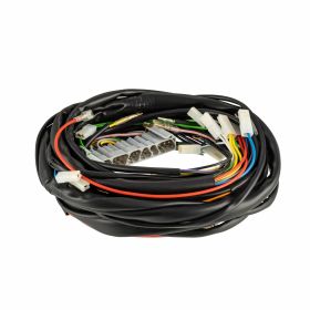 Impianto elettrico PREMIUM QUALITAT con batteria/luci/frecce per Vespa Cosa 2 FL