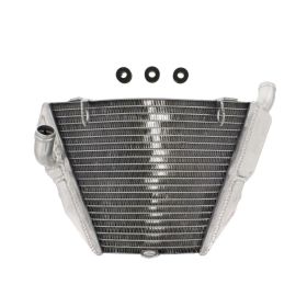 Radiatore acqua JMP TRS-R-609 inferiore per Ducati STREETFIGHTER