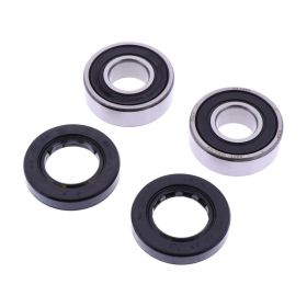 Kit cuscinetti ruota JMP completo 414 con anello di tenuta per Honda FES