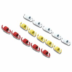 MALOSSI 2917505 Clutch springs