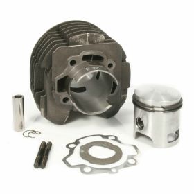 POLINI Thermal Group D.69 Hub 60 225cc Stift 18 Gusszylinder