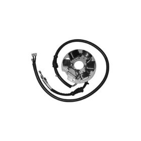 Statore DUCATI ENERGIA 6 poli con piastra per PIAGGIO VESPA ET3 125
