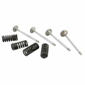 MALOSSI M2714047 KIT VALVOLA PER TESTA