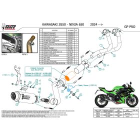 MIVV GP Pro Vollrennauspuff aus Carbon für KAWASAKI z650