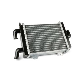 Radiatore Motoforce per peugeot speedfight