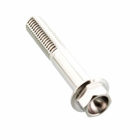 PRO-BOLT hexagon screw stainless steel M8x1.25 45mm
