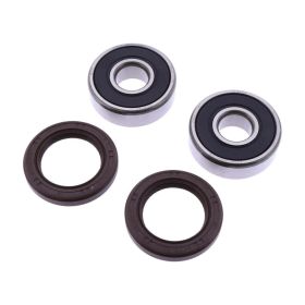 JMP komplettes Radlagersatz 419 mit Dichtungsring