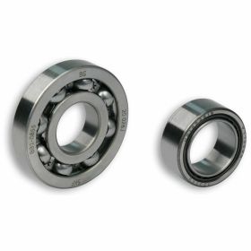 M6615466 KIT CUSCINETTI ALBERO MOTORE