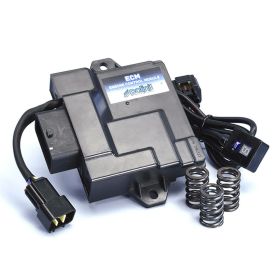 Unité ECM POLINI Piaggio/Vespa 50 E5