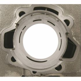 POLINI Thermal Group D.69 stroke 60 225cc pin 18 cast iron cylinder