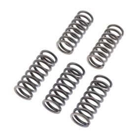 Kit de ressorts d'embrayage EBC CSK249 6 pour BMW G 310