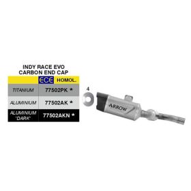 Silencieux ARROW Indy Race EVO approuvé en titane pour BMW F 900 R/F 900 XR