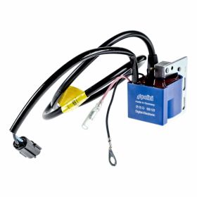 POLINI Digital Ignition PVL Minarelli Am6/Derbi