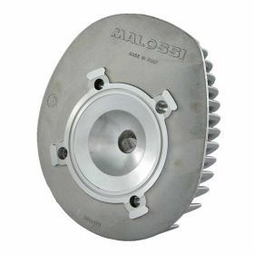 Zylinderkopf MALOSSI 3815920