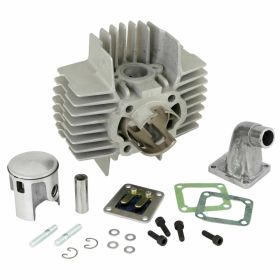 POLINI Thermal Group D.43.5 Hub 43 64cc Aluminiumzylinder