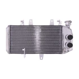 JMP TRS-R-738 Wasser Kühler für BMW F