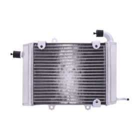 Radiatore acqua JMP TRS-R-719 sinistro per Honda GL 1800