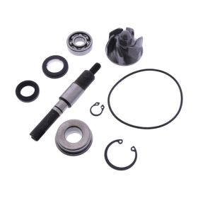 101 OCTANE VC23673 Wasserpumpen-Überholsatz