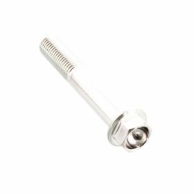 PRO-BOLT hexagon screw stainless steel M10x1.25 60mm