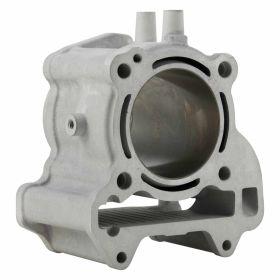 Haut moteur cylindre MALOSSI 3117737