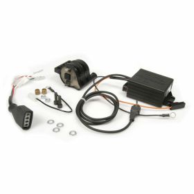 Unité de commande de moto MALOSSI 5513196